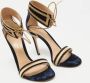 Gianvito Rossi Pre-owned Velvet sandals Beige Dames - Thumbnail 2