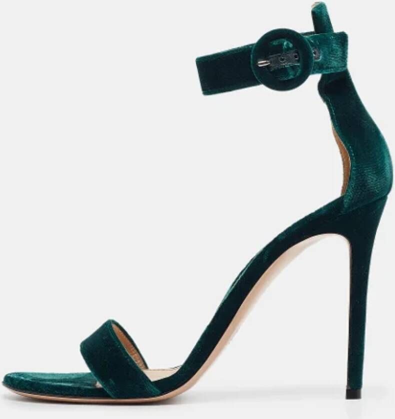 Gianvito Rossi Pre-owned Velvet sandals Green Dames