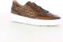 Giorgio Heren Cognac Schoenen Brown Heren - Thumbnail 2