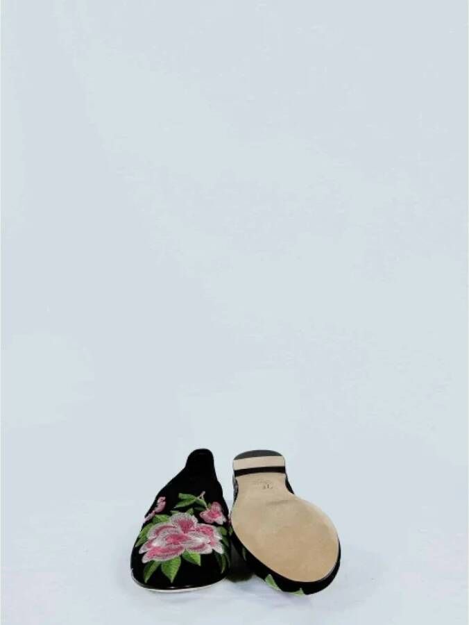 Giuseppe Zanotti Pre-owned Fabric flats Multicolor Dames