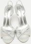 Giuseppe Zanotti Pre-owned Leather sandals Gray Dames - Thumbnail 2