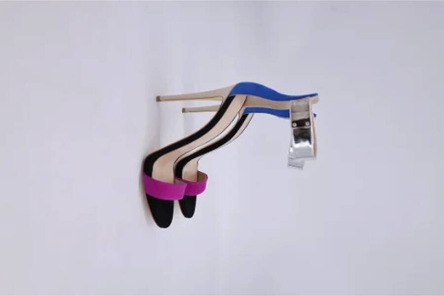 Giuseppe Zanotti Pre-owned Suede heels Multicolor Dames