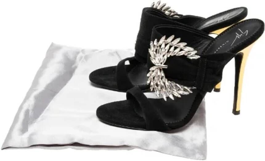 Giuseppe Zanotti Pre-owned Suede sandals Black Dames