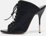 Giuseppe Zanotti Pre-owned Suede sandals Black Dames - Thumbnail 2