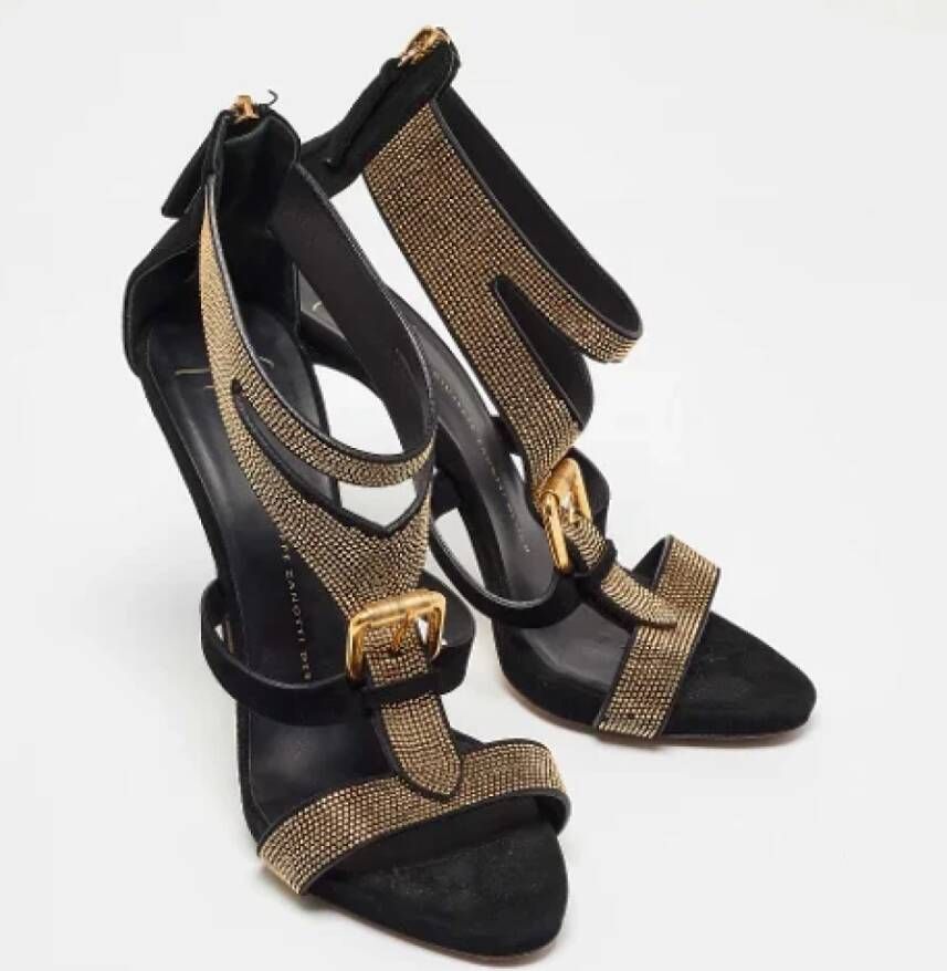 Giuseppe Zanotti Pre-owned Suede sandals Black Dames