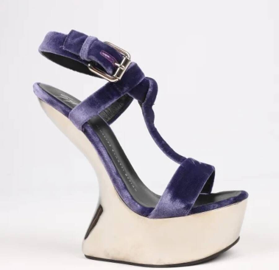 Giuseppe Zanotti Pre-owned Suede sandals Purple Dames