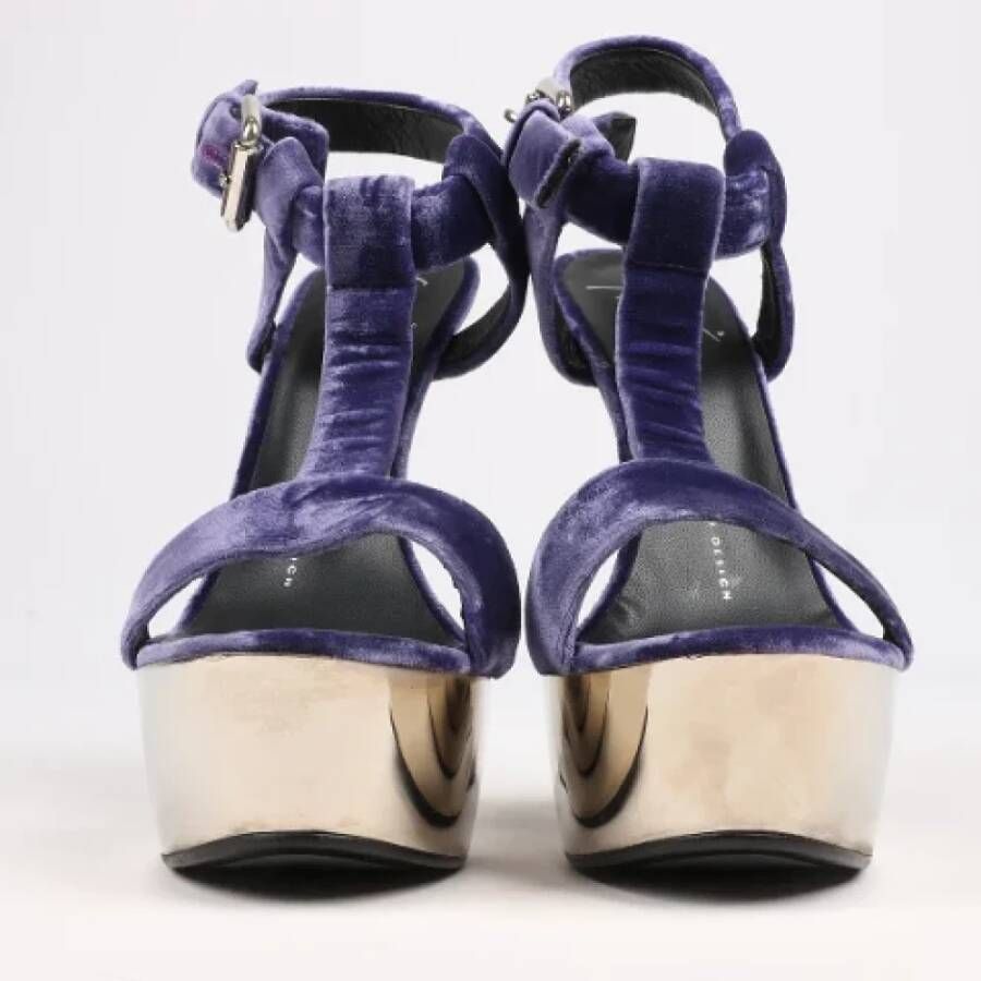 Giuseppe Zanotti Pre-owned Suede sandals Purple Dames