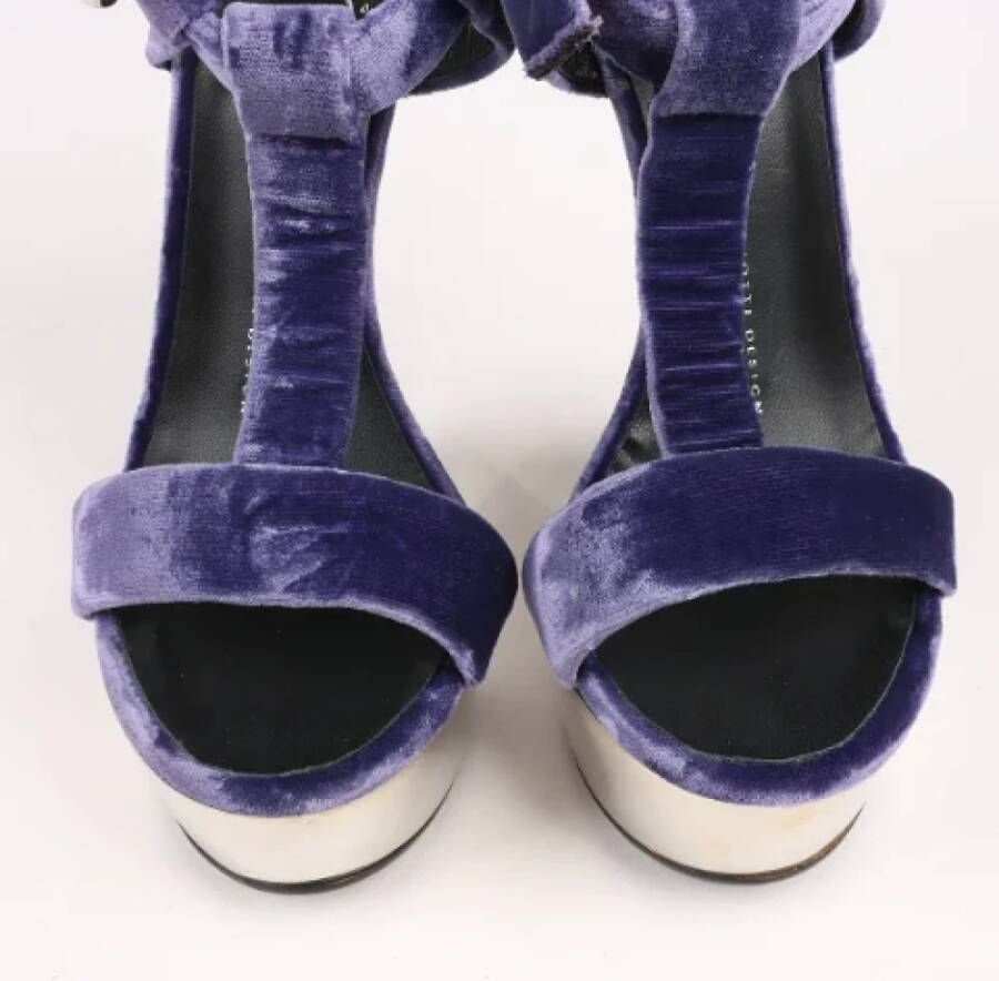 Giuseppe Zanotti Pre-owned Suede sandals Purple Dames