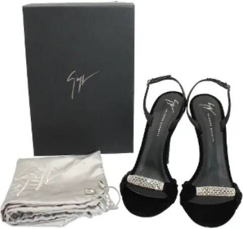 Giuseppe Zanotti Pre-owned Velvet sandals Black Dames