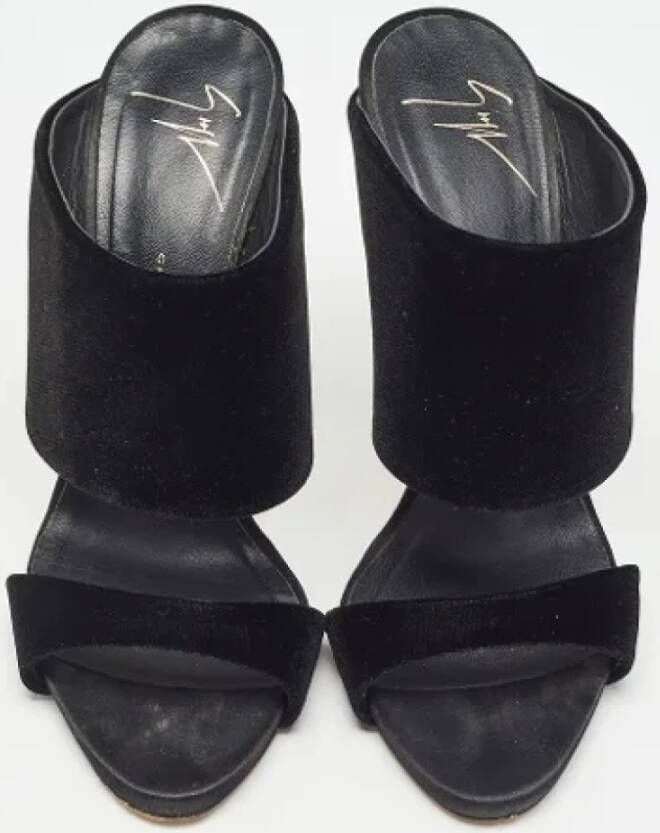 Giuseppe Zanotti Pre-owned Velvet sandals Black Dames