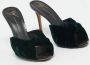 Giuseppe Zanotti Pre-owned Velvet sandals Green Dames - Thumbnail 4