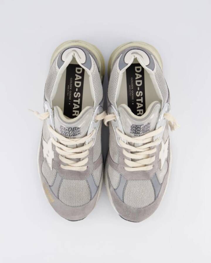 Golden Goose Grijze Running Dad Sneaker Gray Dames