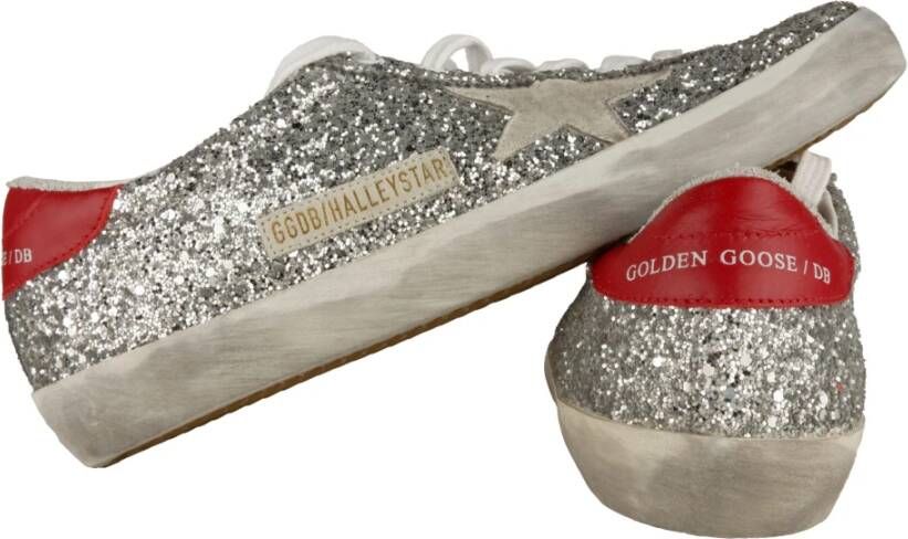 Golden Goose Sneakers Grijs Dames