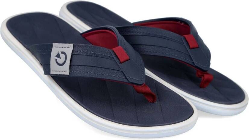 Ipanema Flip flops Blue Heren