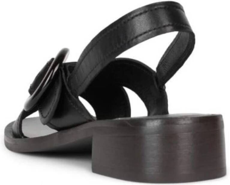 Jeffrey Campbell Stijlvolle Sandalen voor de Zomer Black Dames