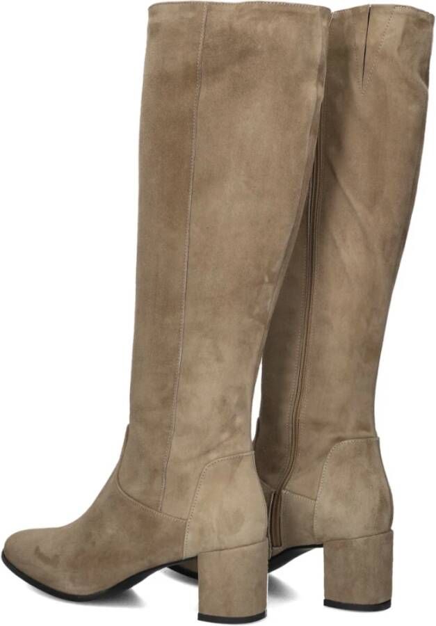 Lina Locchi Suède Hoge Laarzen Taupe 8591 Beige Dames