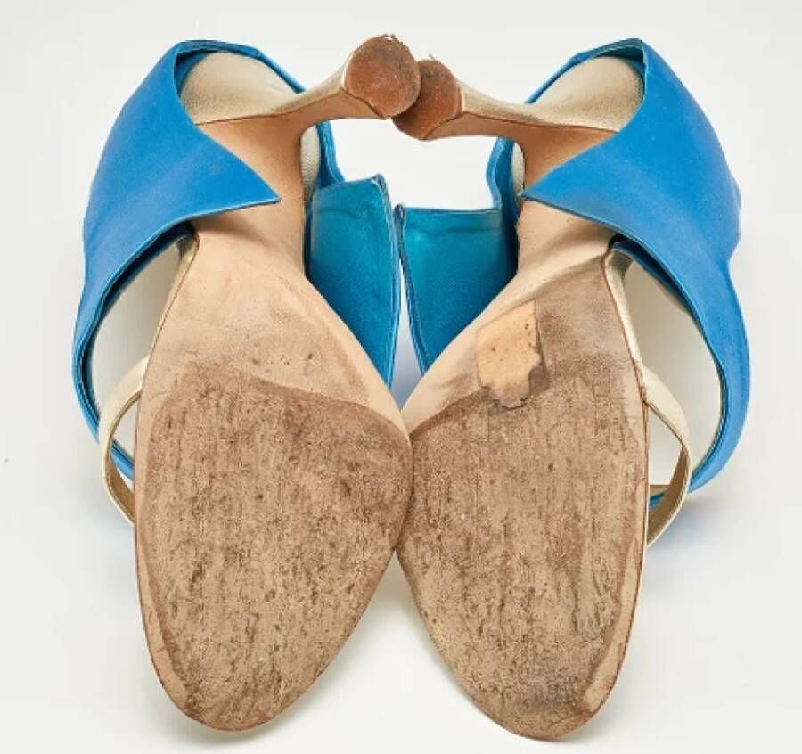 Manolo Blahnik Pre-owned Leather sandals Blue Dames