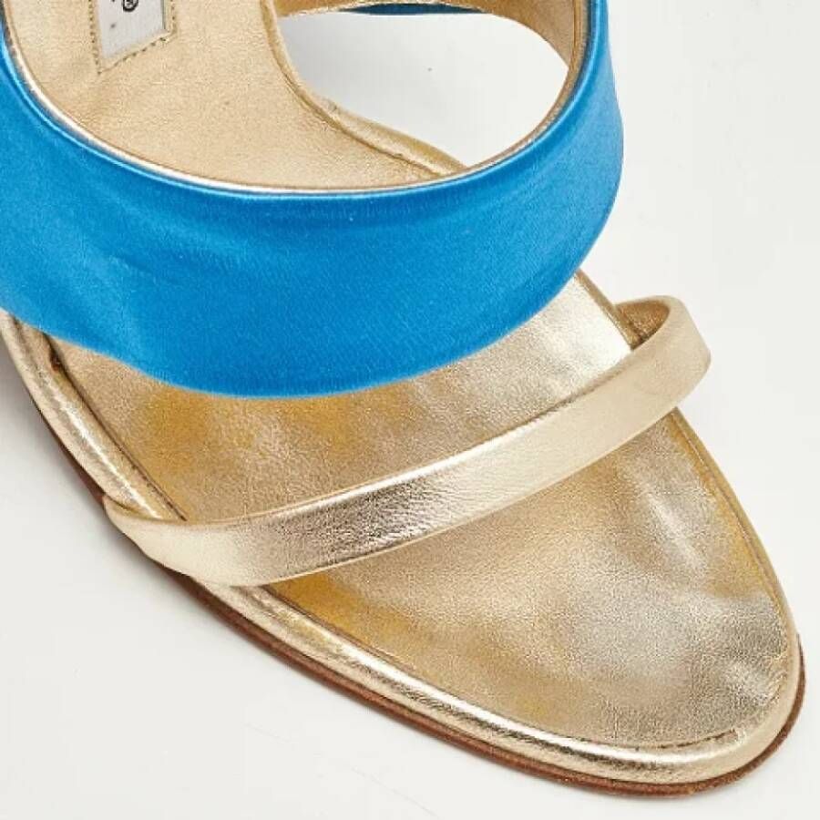 Manolo Blahnik Pre-owned Leather sandals Blue Dames