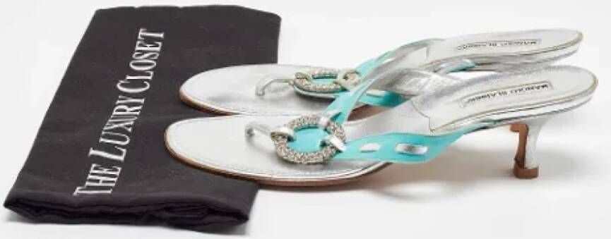 Manolo Blahnik Pre-owned Leather sandals Blue Dames