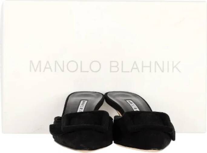 Manolo Blahnik Pre-owned Suede mules Black Dames