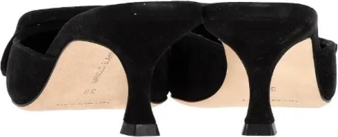 Manolo Blahnik Pre-owned Suede mules Black Dames