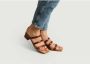 Miista Krokodil patroon leren sandalen Brown Dames - Thumbnail 2