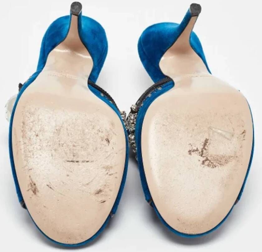 Miu Pre-owned Velvet mules Blue Dames