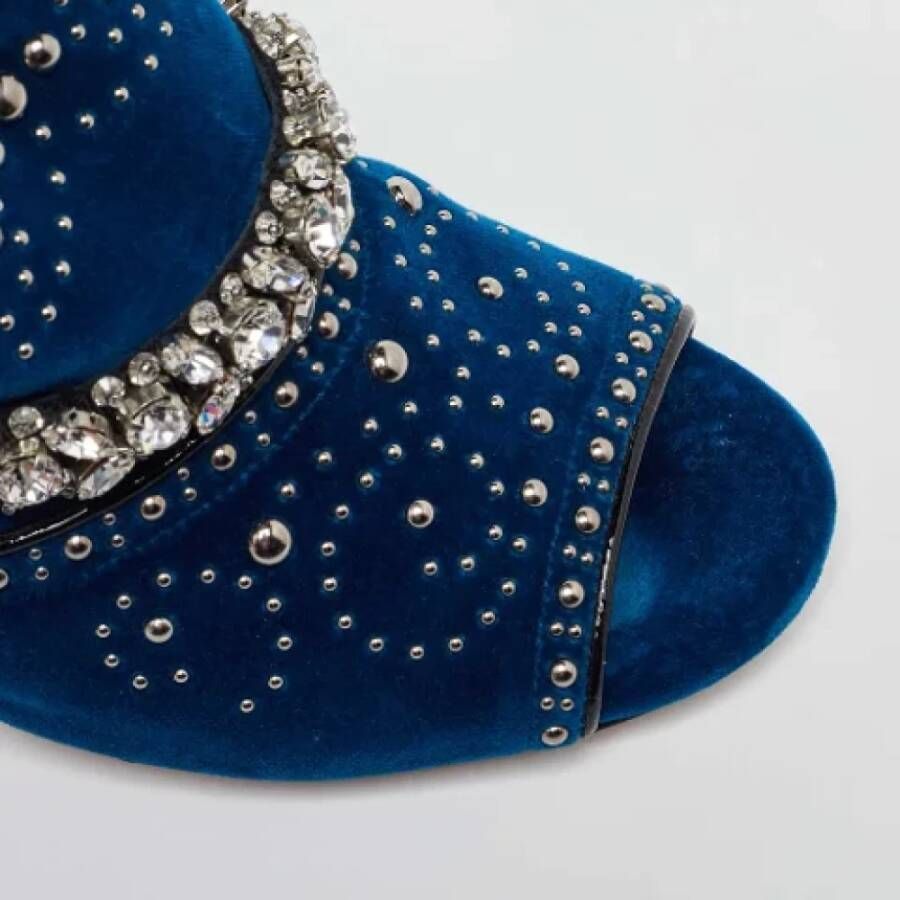 Miu Pre-owned Velvet mules Blue Dames