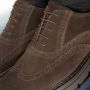 Nerogiardini Suède Oxford Schoenen Bruin Brown Heren - Thumbnail 9