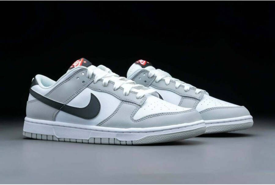 Nike Dunk lage sneakers Grijs Heren