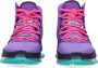 Nike Wild Berry Basketbalschoen met TPU Vinnen Purple Heren - Thumbnail 8