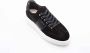 Nubikk Zwarte Wing Platform Sneaker Black Dames - Thumbnail 2