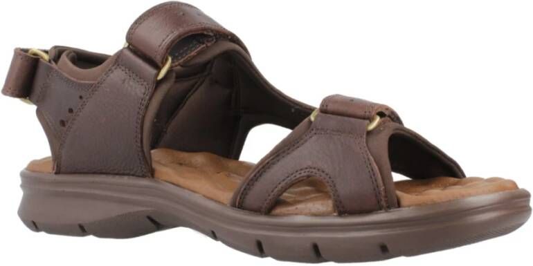 Panama Jack Platte Sandalen met Plakband Brown Heren