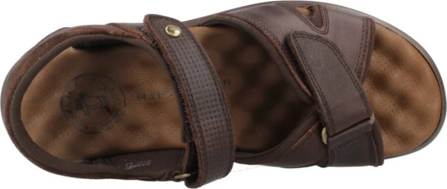 Panama Jack Platte sandalen met plakband Brown Heren