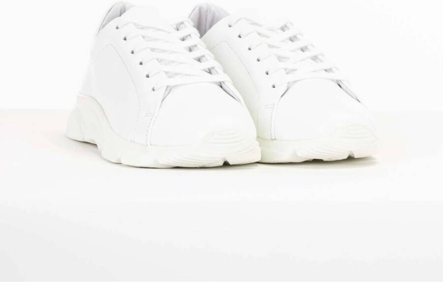 Pantofola D'Oro Dames Sneakers Foro Italico Low White Dames