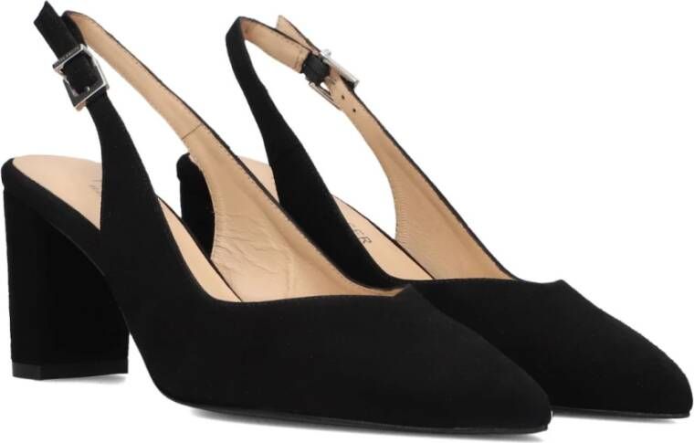 Peter Kaiser Zwarte Elegante Nexi Sue Pumps Black Dames