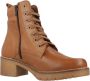 Pitillos Militaire Veterschoenen Brown Dames - Thumbnail 7