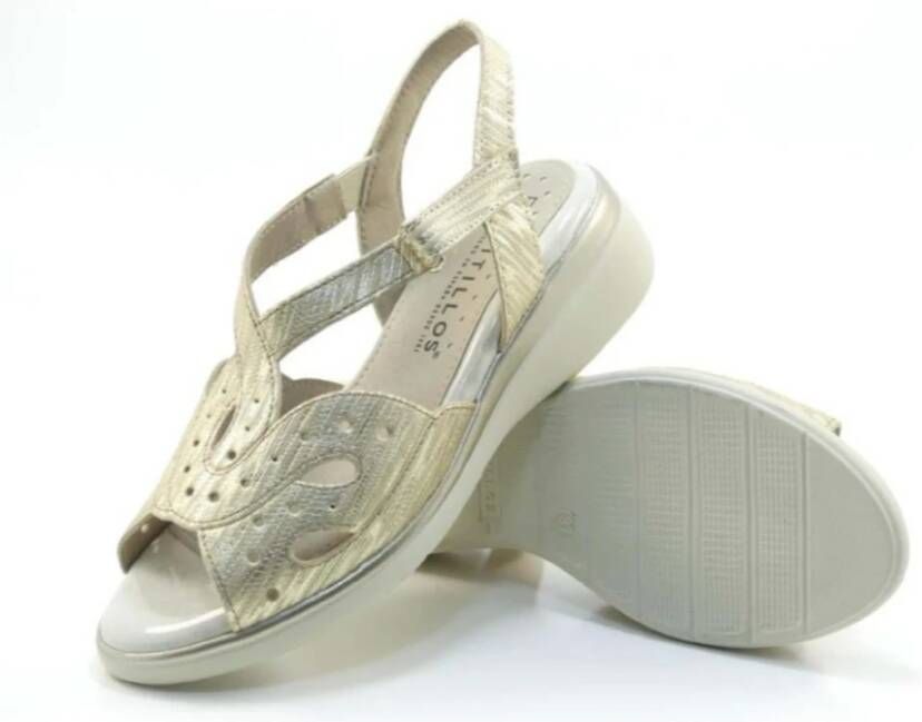 Pitillos Platte Sandalen Gray Dames