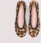 Pretty Ballerinas Luipaard Ballerina Schoenen Brown Dames - Thumbnail 4