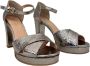 Roberto d'Angelo Zilveren Tokyo Hoge Hak Pumps Gray Dames - Thumbnail 2