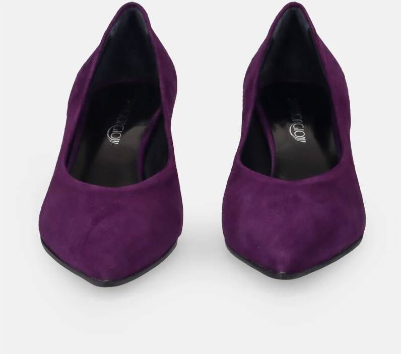 Sangiorgio Paarse Suède Hakpumps Purple Dames