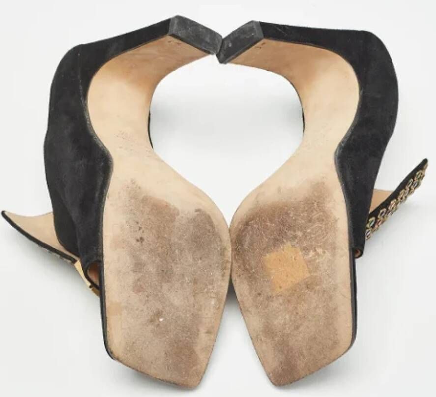 Sergio Rossi Pre-owned Suede mules Black Dames