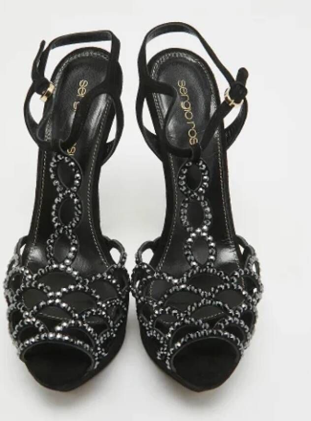 Sergio Rossi Pre-owned Suede sandals Black Dames