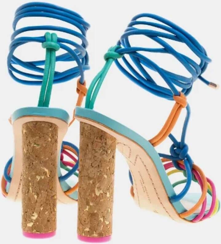 Sophia Webster Pre-owned Leather sandals Multicolor Dames