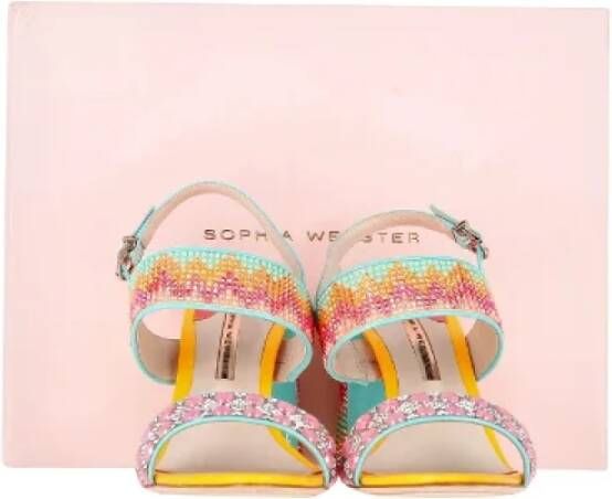 Sophia Webster Pre-owned Leather sandals Multicolor Dames