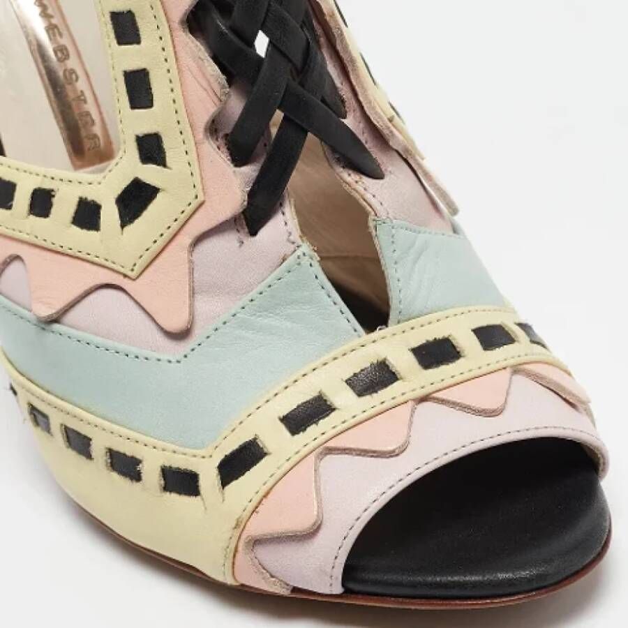 Sophia Webster Pre-owned Leather sandals Multicolor Dames