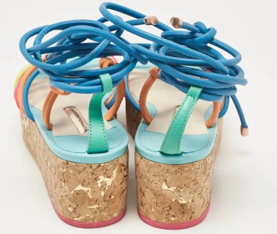 Sophia Webster Pre-owned Leather sandals Multicolor Dames