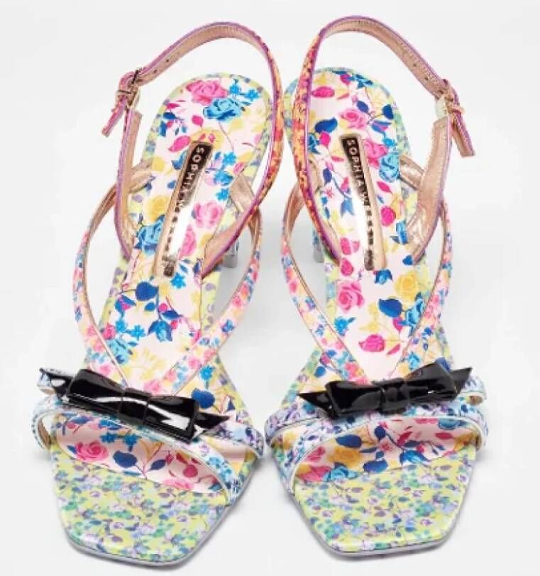 Sophia Webster Pre-owned Leather sandals Multicolor Dames