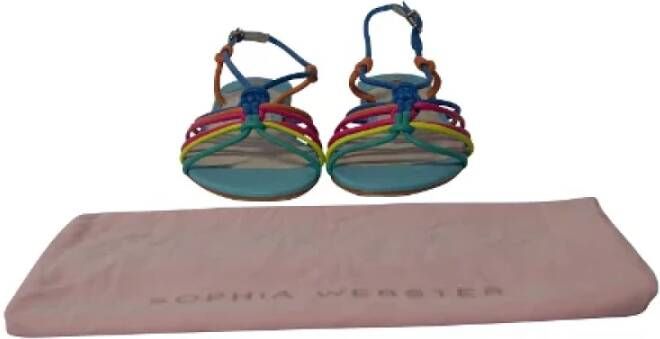 Sophia Webster Pre-owned Leather sandals Multicolor Dames