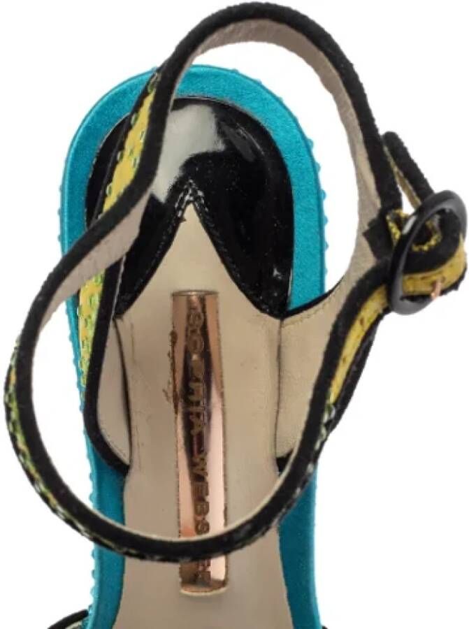 Sophia Webster Pre-owned Satin sandals Multicolor Dames